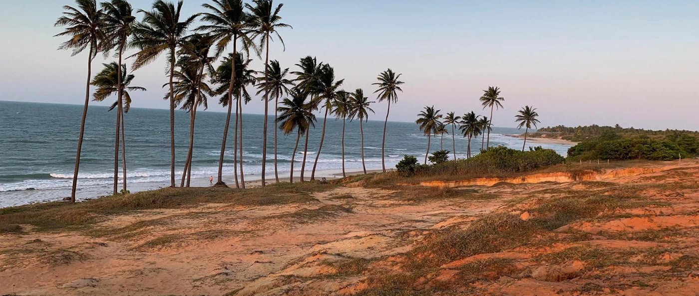 Coqueiros sobre a falésia avermelhada da Praia da Lagoinha, em Paraipaba